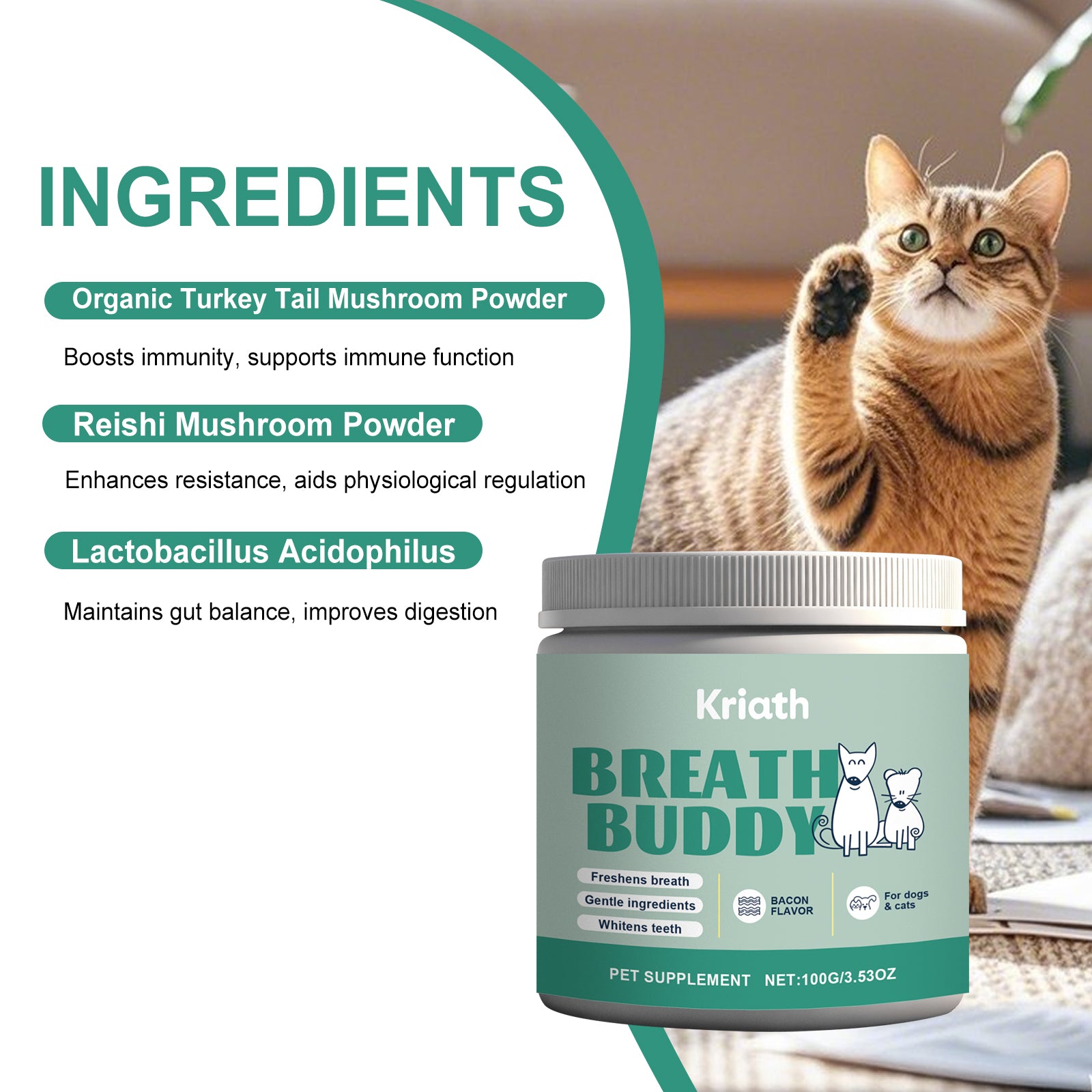 Poudre de nettoyage des dents des animaux de compagnie