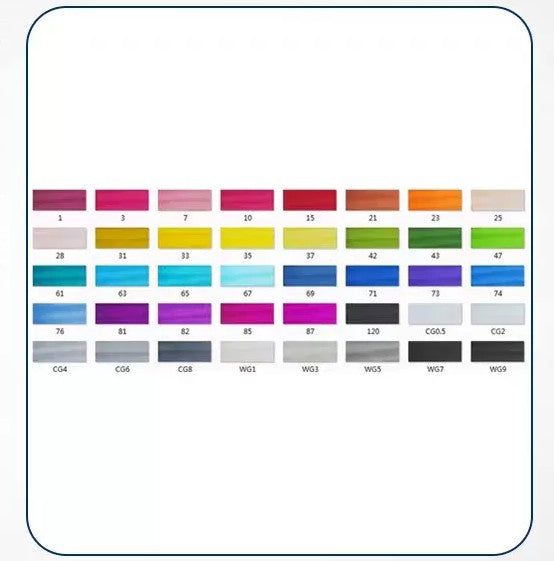 Double-tête alcool huileux couleur Animation stylo de peinture pour les étudiants professionnels d'art