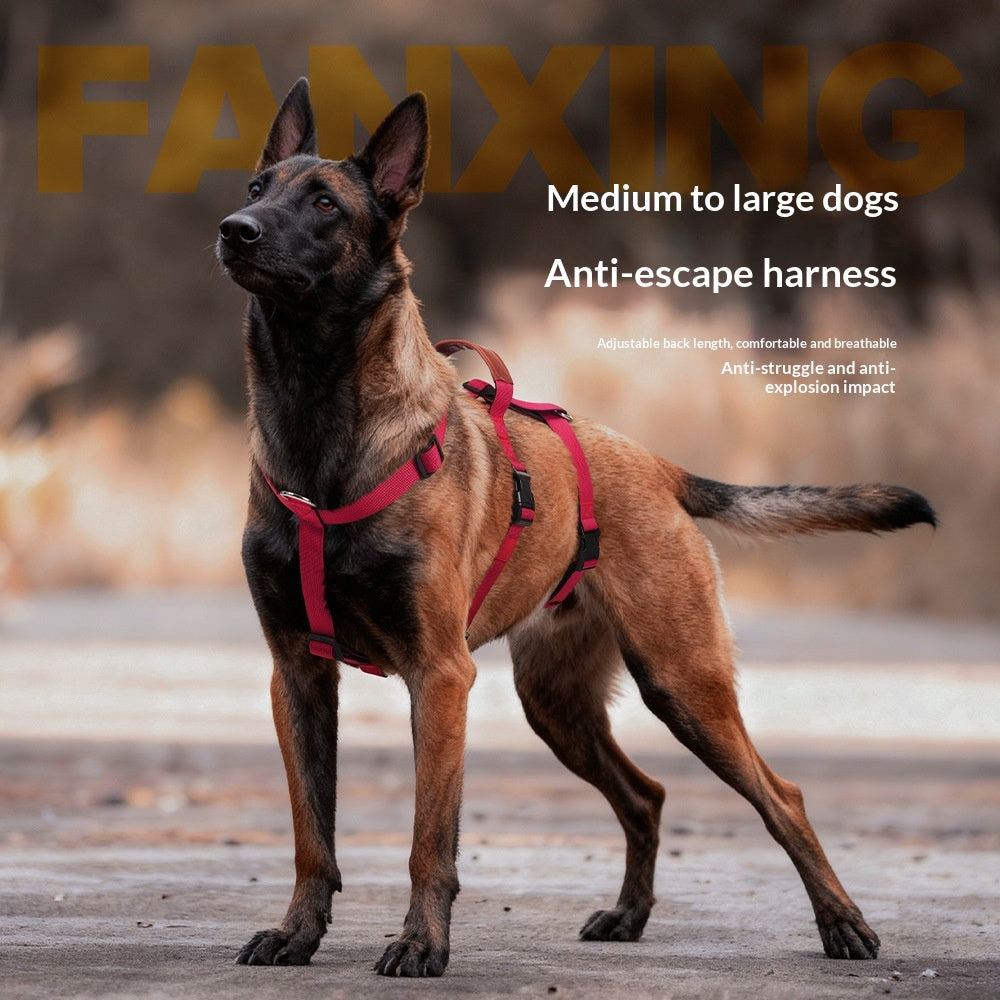 Harnais anti-poussière pour chiens de taille moyenne à grande