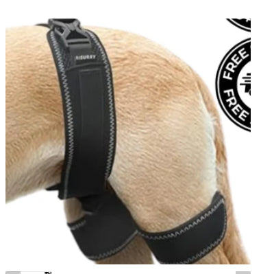 Pet Dog Hip Support Ceinture Orthèse Appareil