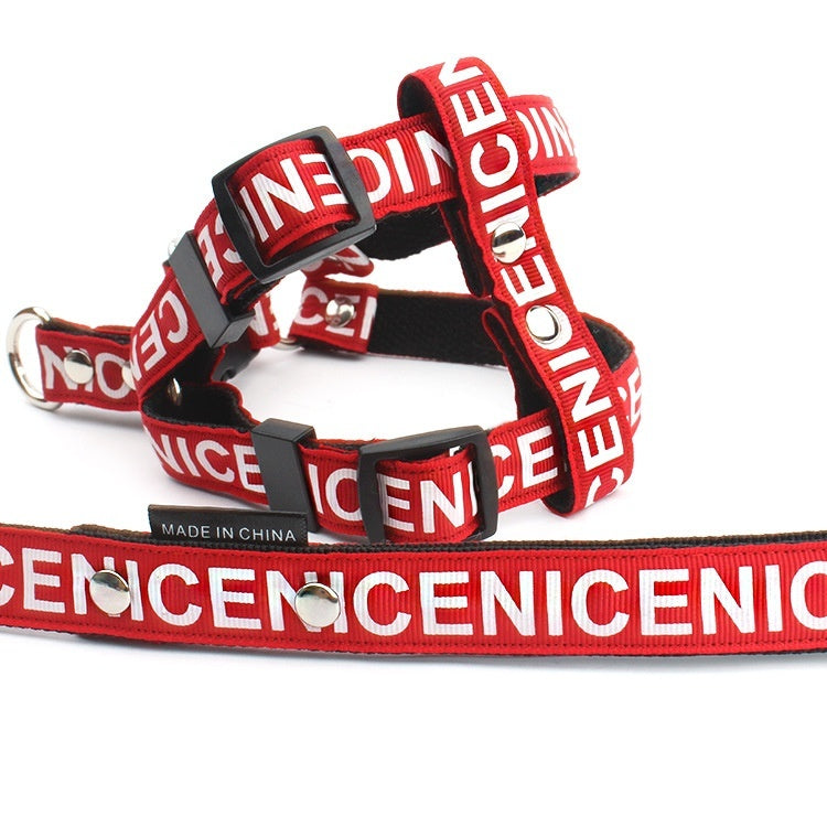 Collier de chien de traction en polyester PET occasionnel