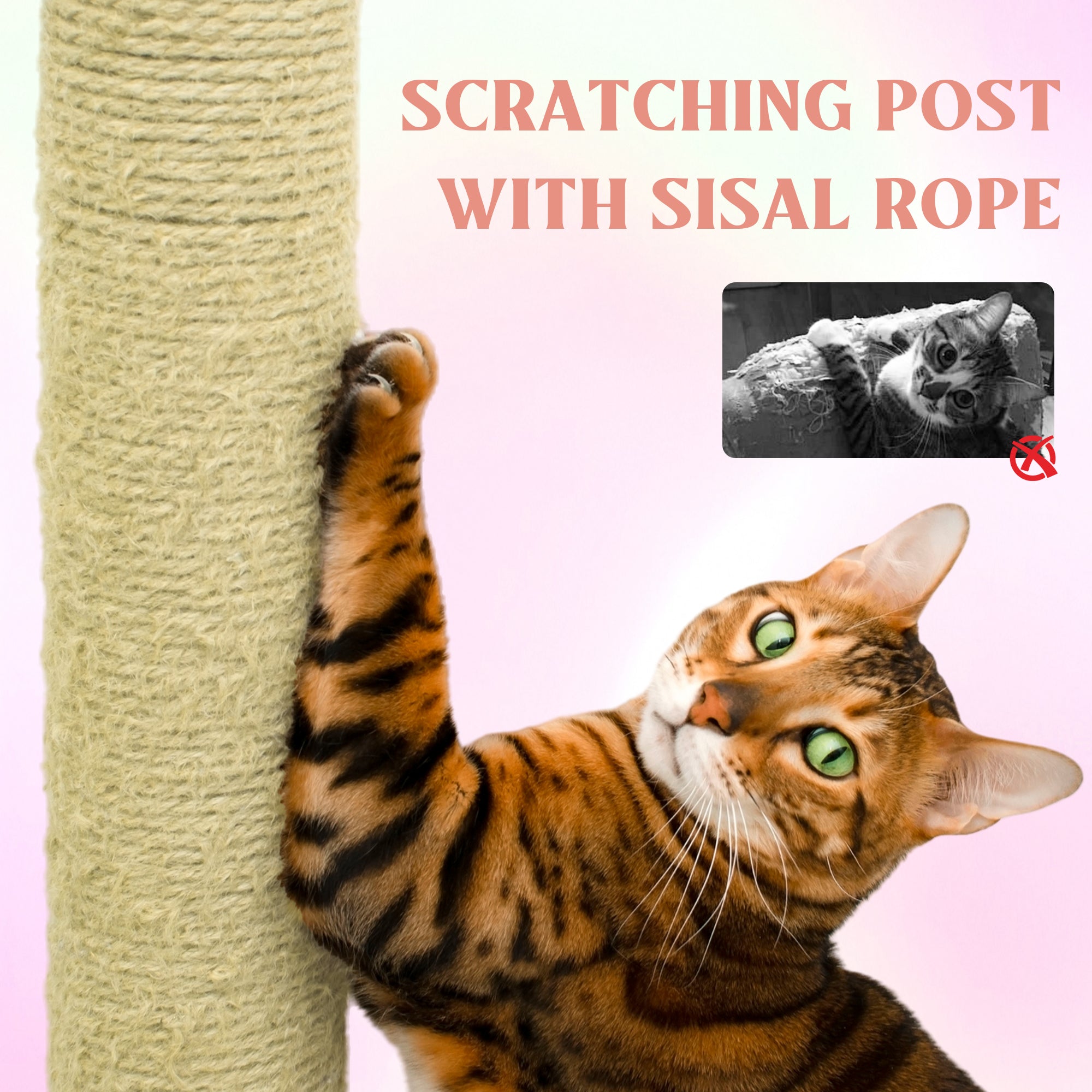 Arbre de chat fleur avec grand condo coussin de fleur amovible et hamac rose