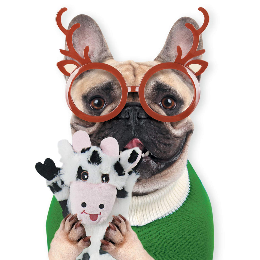 Jouets pour chiens