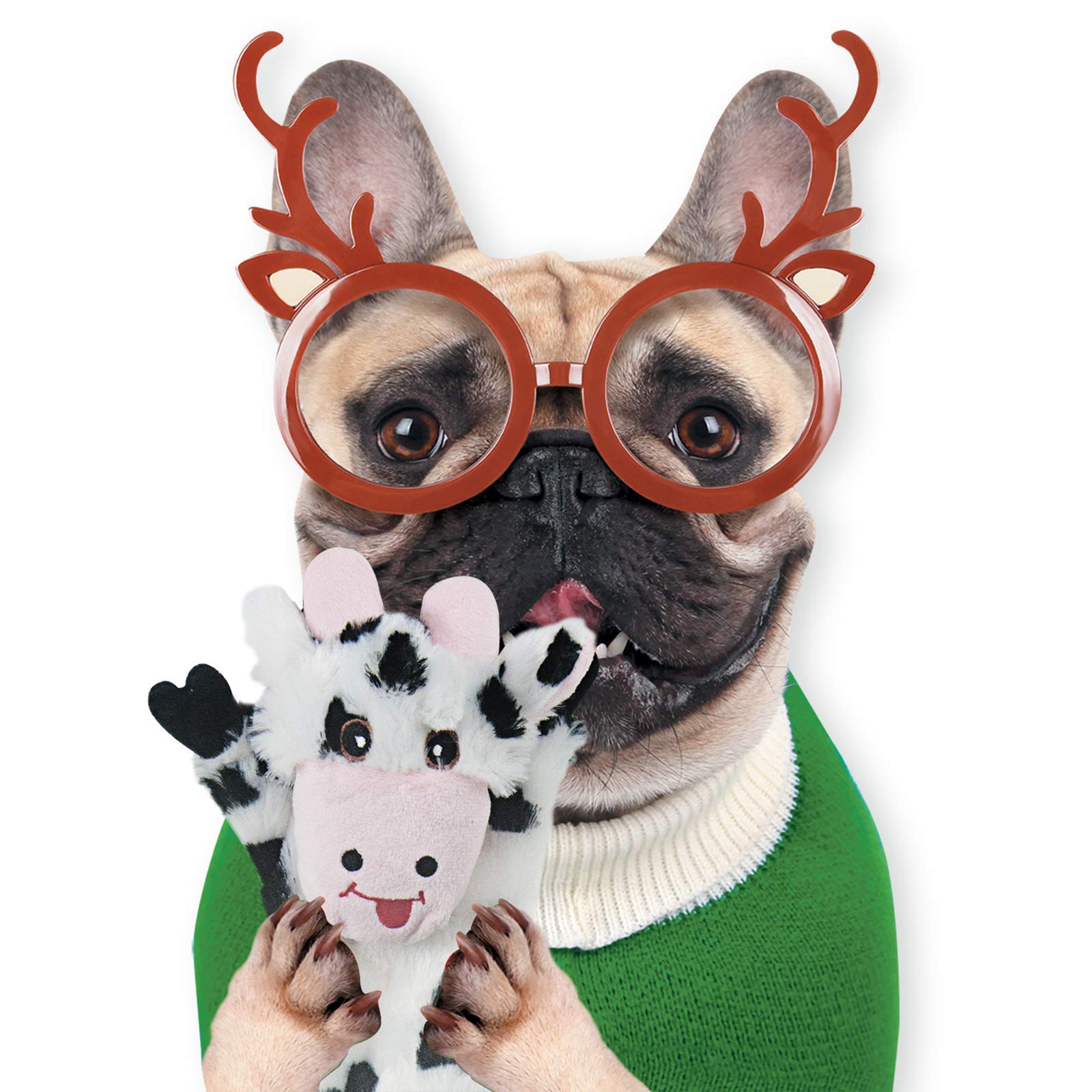 Jouets pour chiens