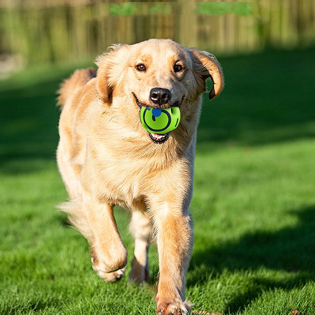 Jouet de chien anti-fighty Gadget Bite-résistant