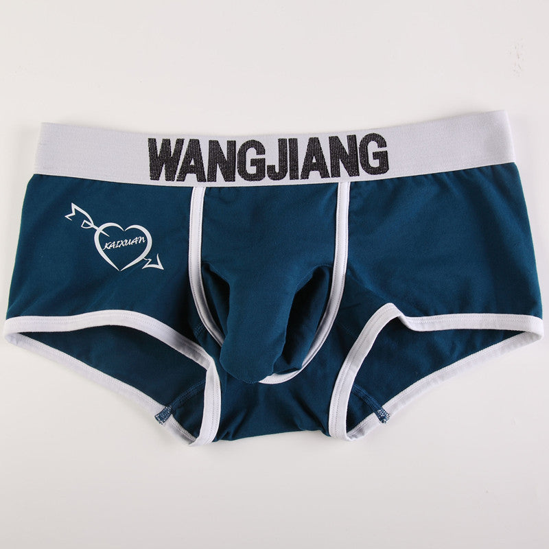 Sous-vêtements pour hommes Boxers Low Waist Coton U Convex Trunk Mode Sexy Boxers pour hommes