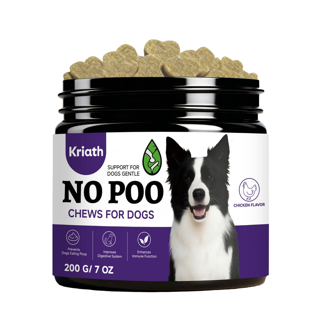 Pas de chips pour chiens