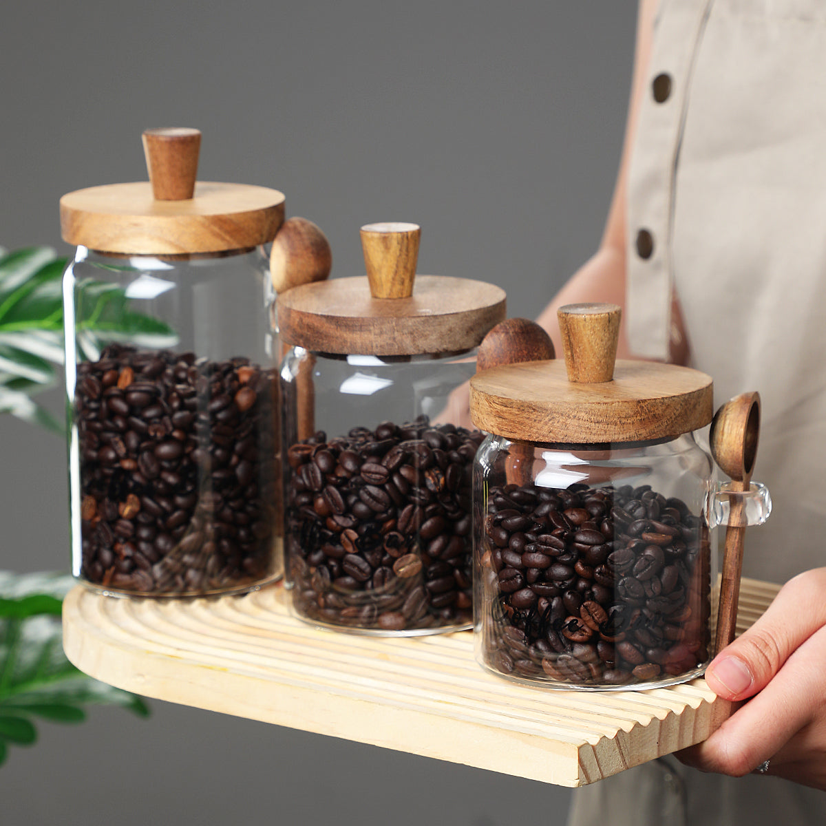 1 Pcs 15 OZ Pots de café en verre avec cuillères