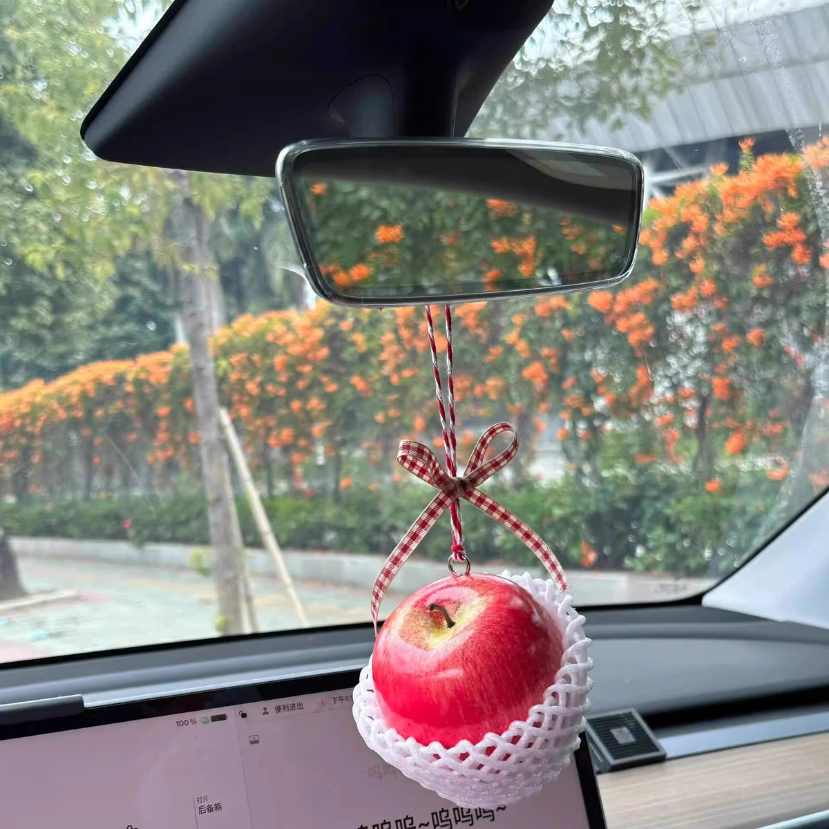 Rétroviseur de voiture miroir pendentif décoration intérieure