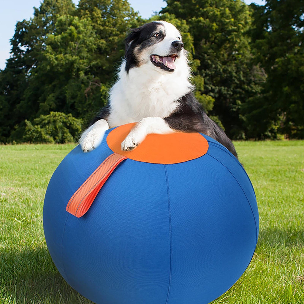 45cm Grand poids résistant à l'usure Gonflable Herding Ball jeu de graisse pour chiens jouer