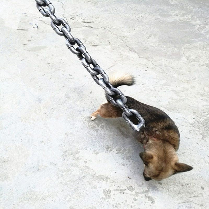 Chaîne de chien, corde de traction, corde de chien, plastique extérieur drôle