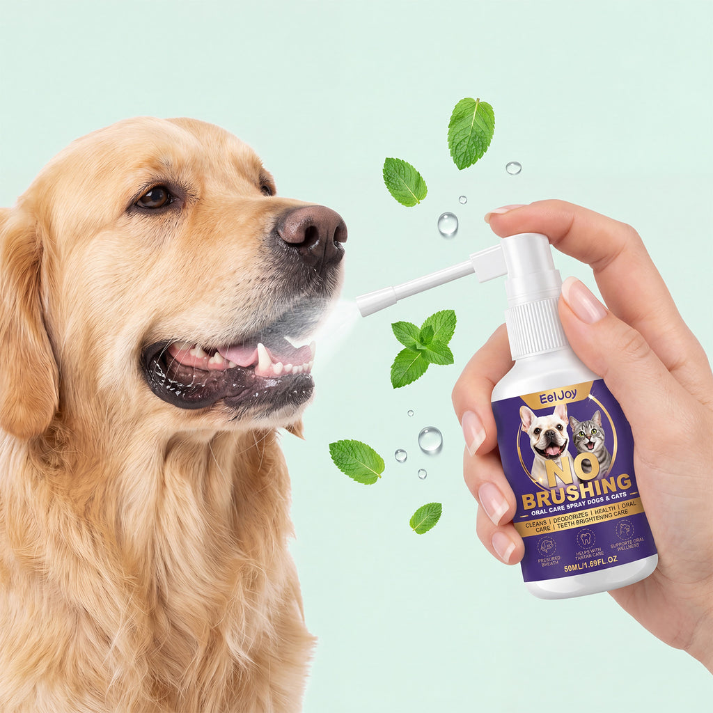 Spray nettoyant pour chiens et chats