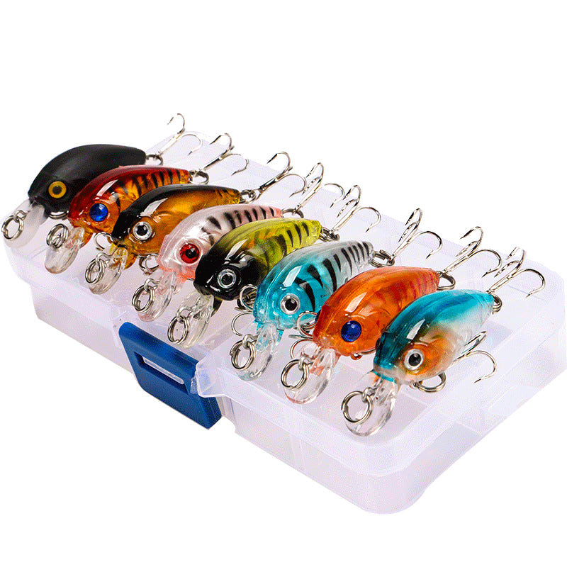 Mini Combo de roche grasse Lure