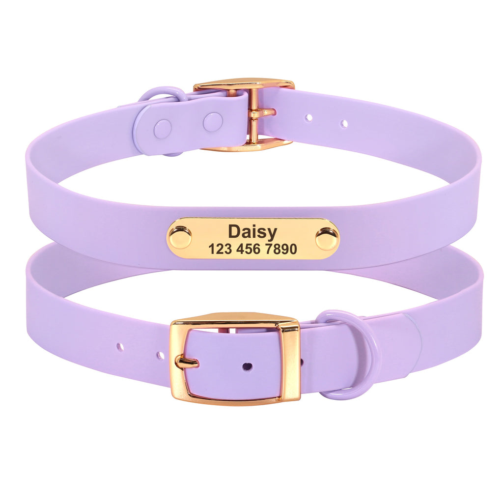 Col laisse chien moyen Teddy