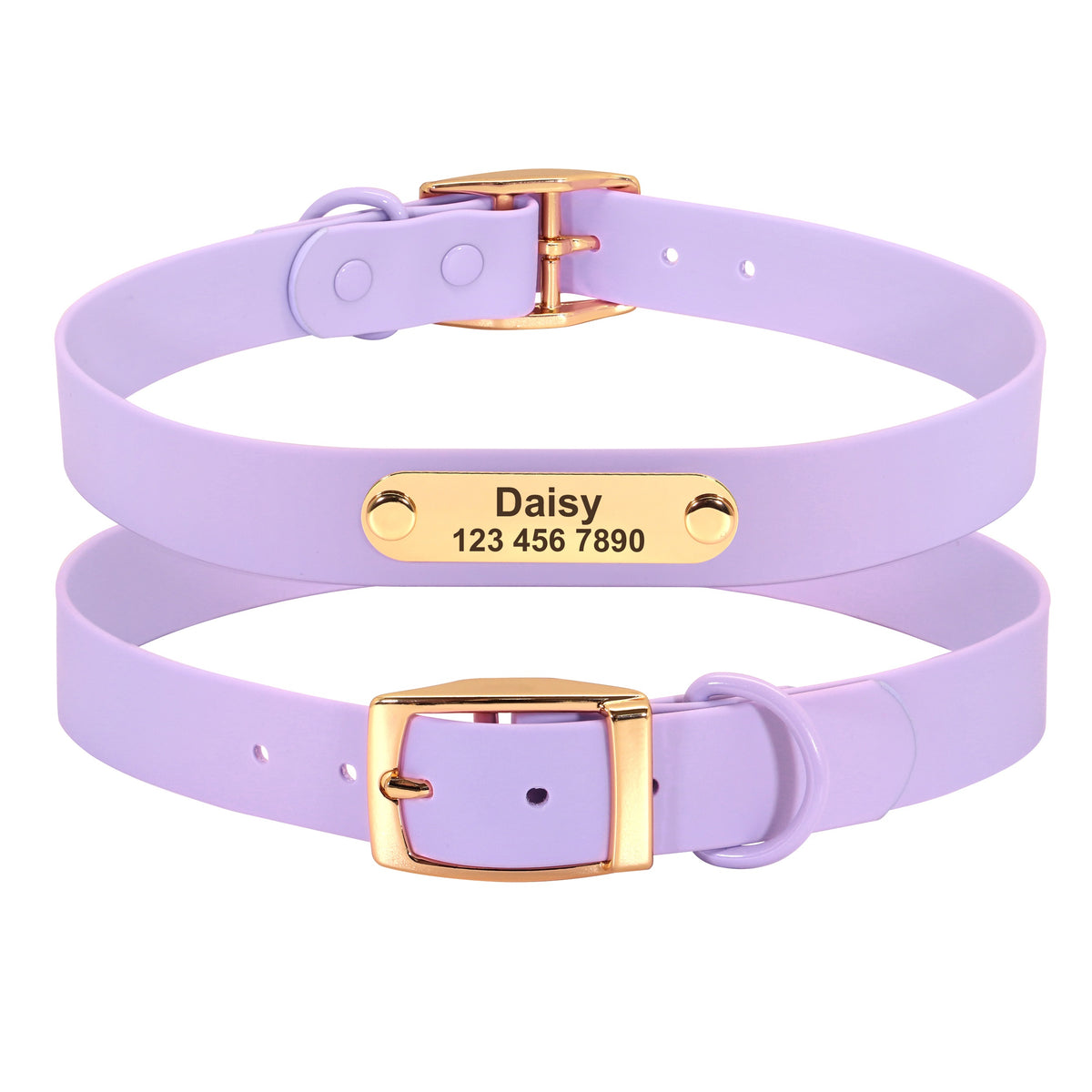 Col laisse chien moyen Teddy