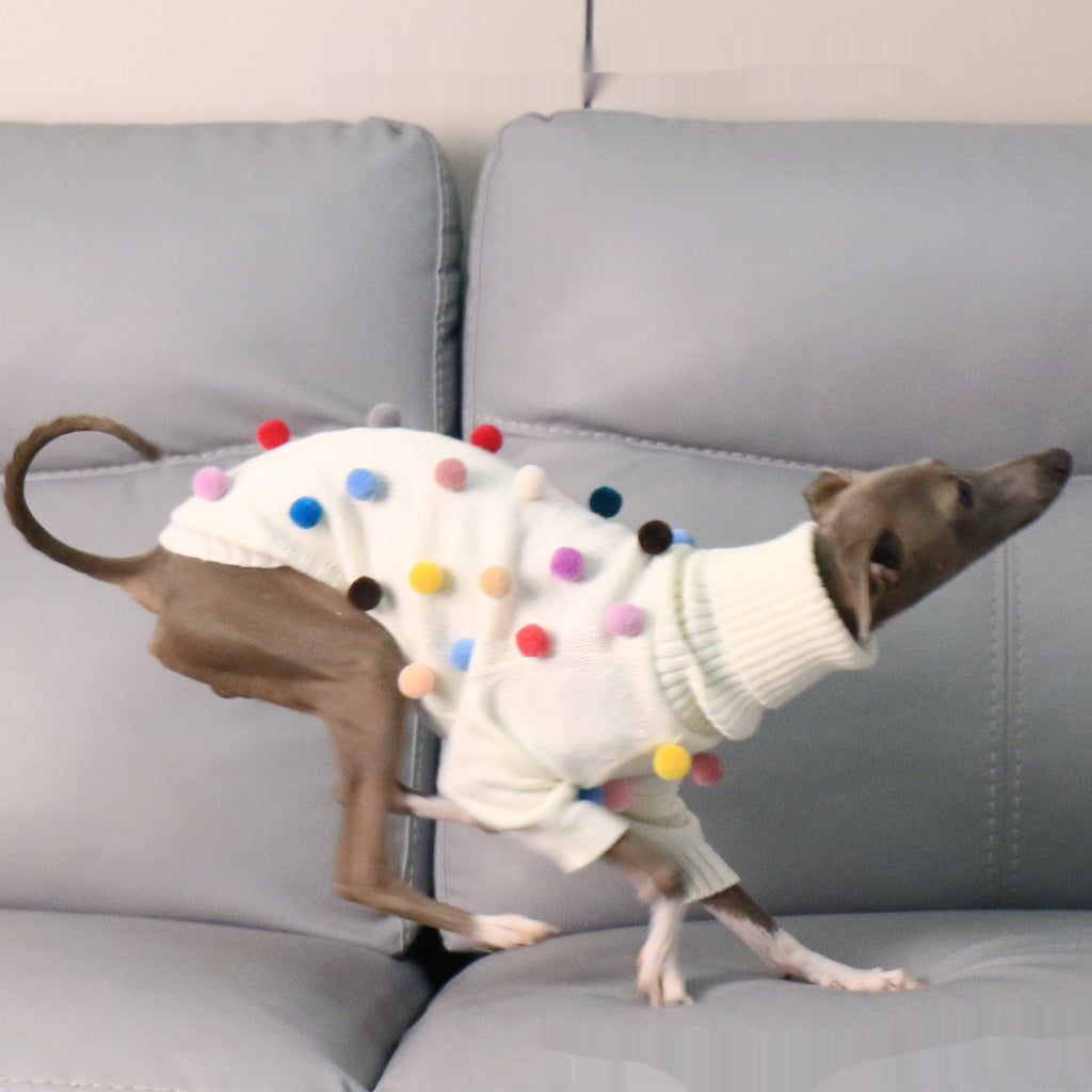 Chandail de Noël de Whippet