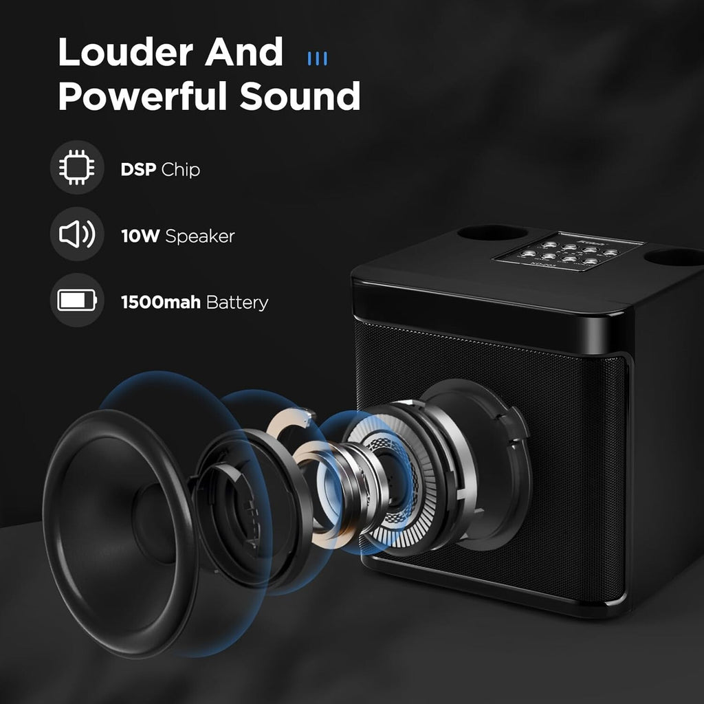 Haut-parleur de karaoké Bluetooth portable avec 2 microphones sans fil
