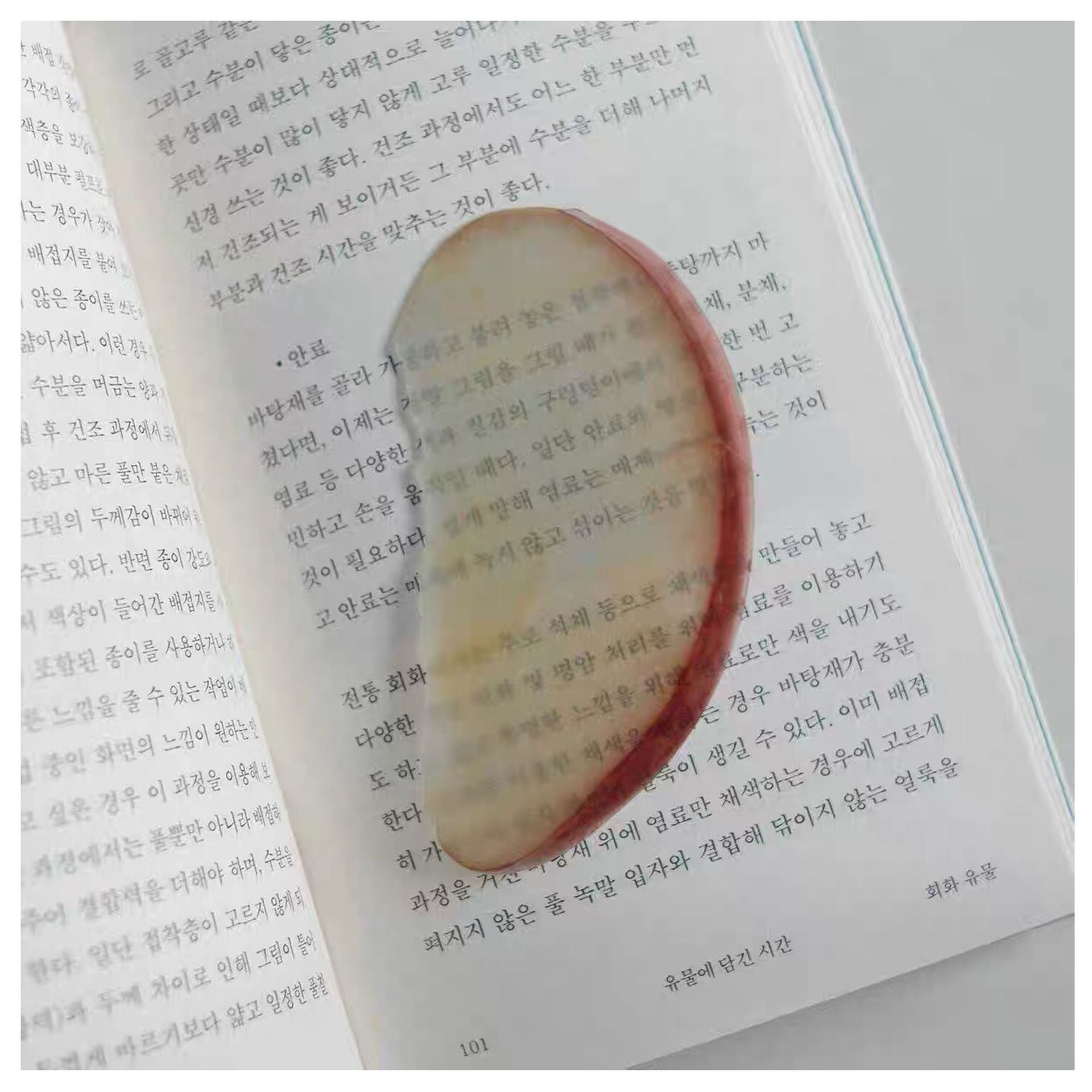 Cute Fixed Book Photo Signet Cartoon Creative Watermelon Fruit Signet