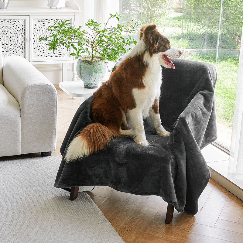 Couverture étanche simple pour animaux de compagnie