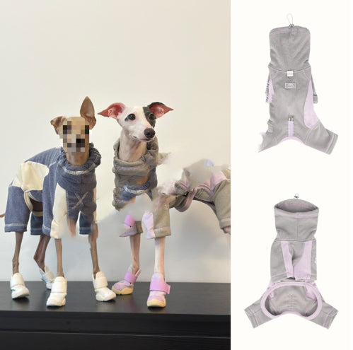 Vêtements de chien AutomneHiver épaississement chaud Apparel simple Sporty Style Four-Leg Base Layer