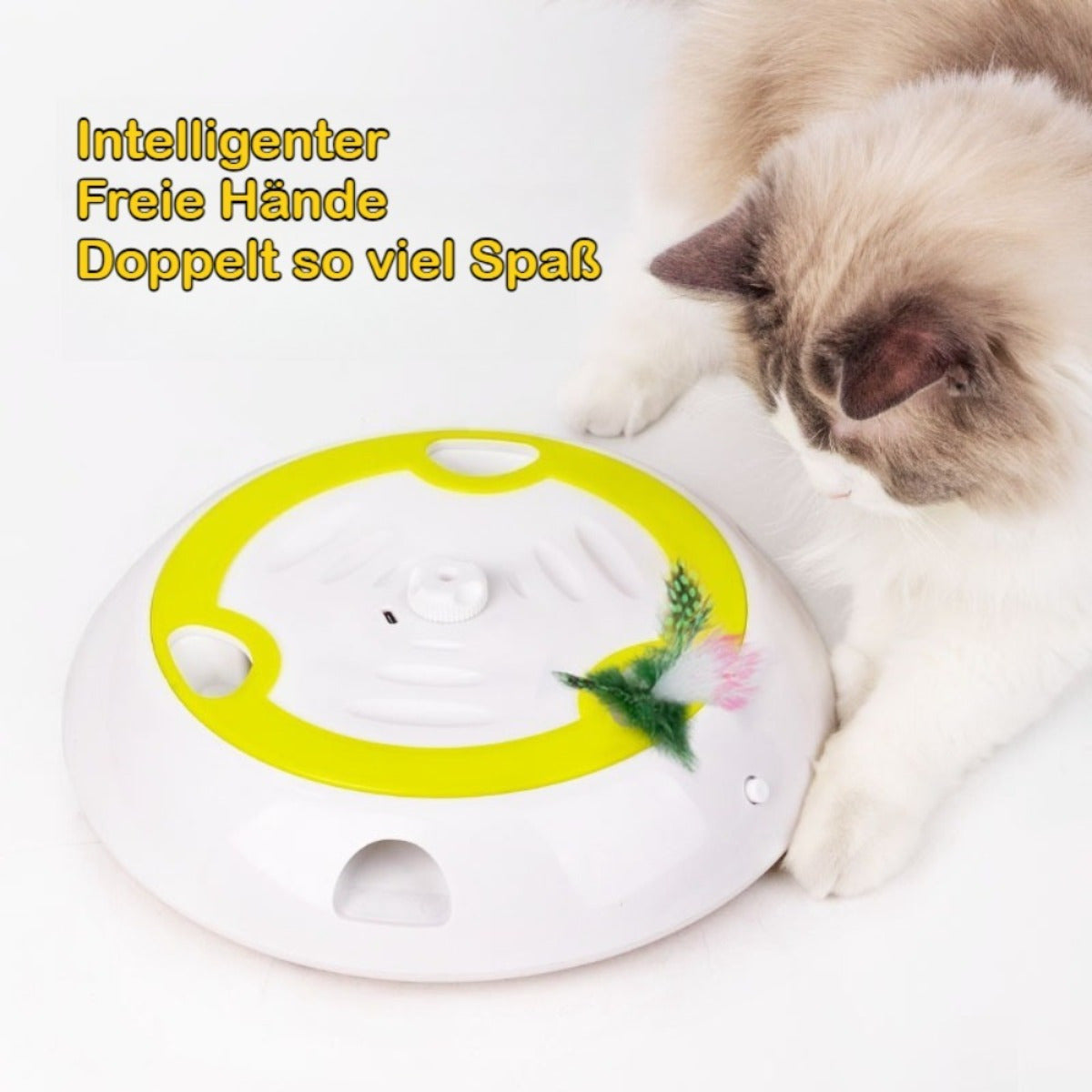 Jouet de chat interactif