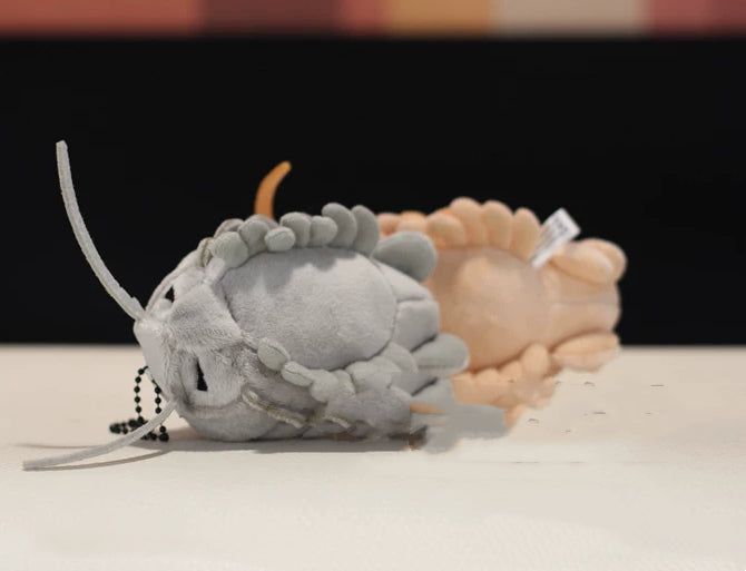 Jouet géant en peluche d'Isopod