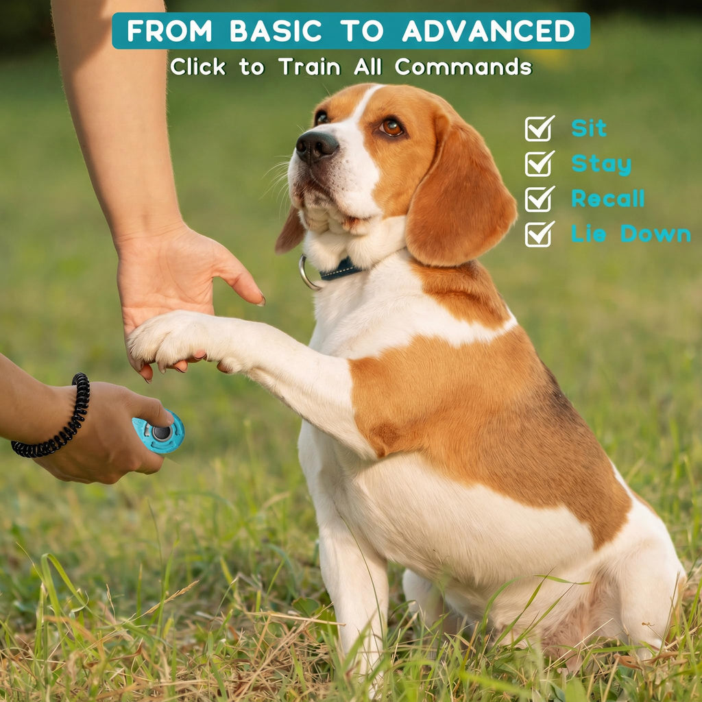 Clicateur d'entraînement pour chien avec boucle de fer et porte-clés - Clicateurs d'entraînement pour chien pour chiot