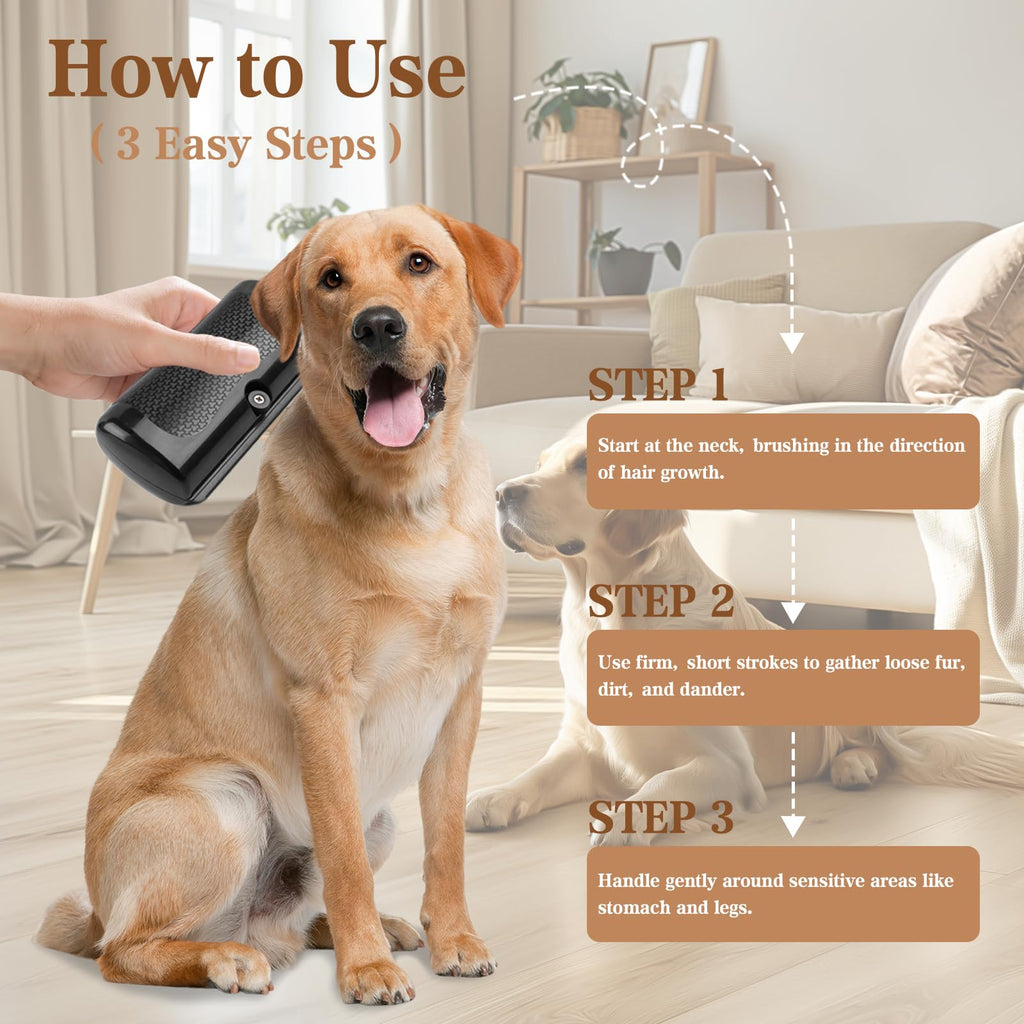 Brosse de chien pour la couverture
