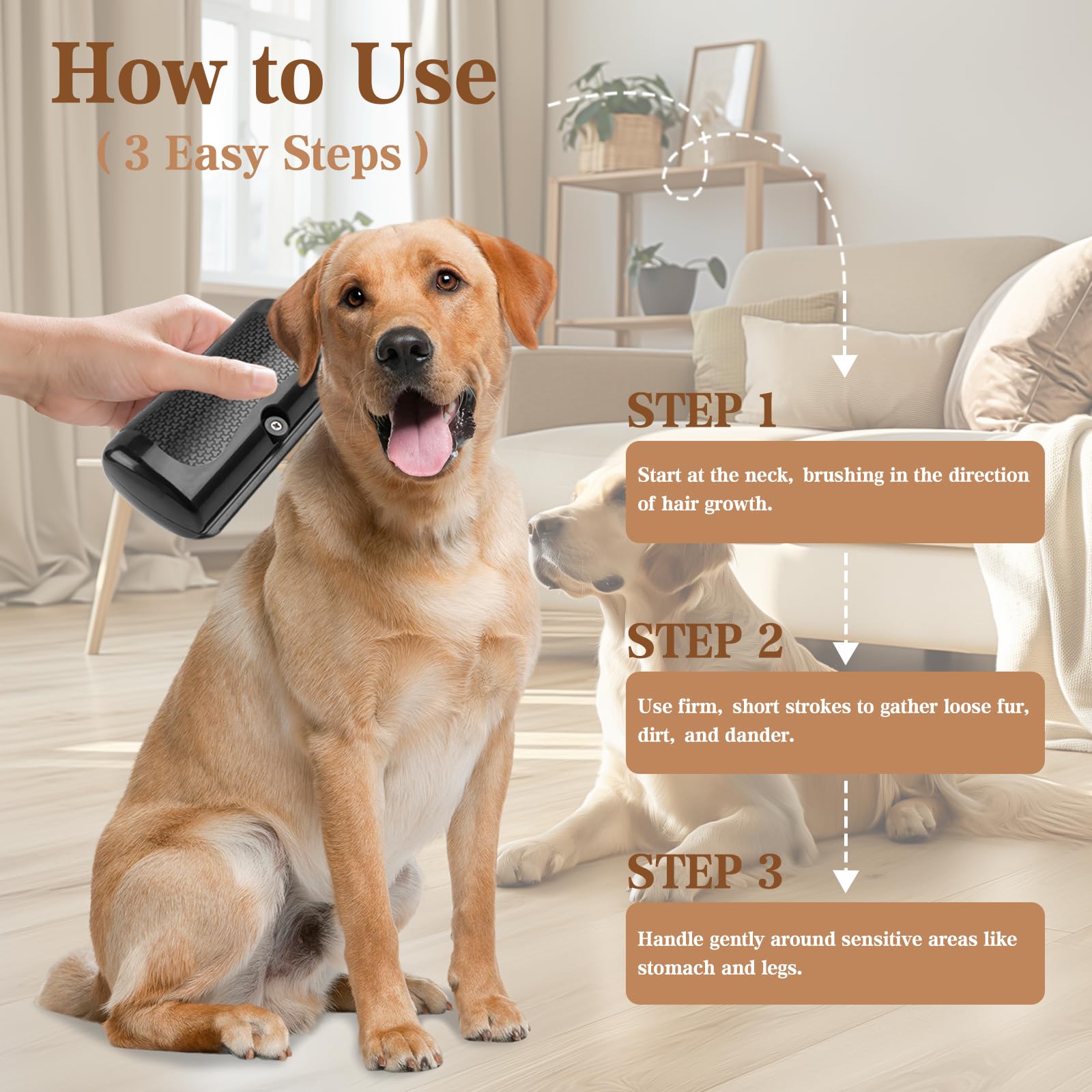 Brosse de chien pour la couverture