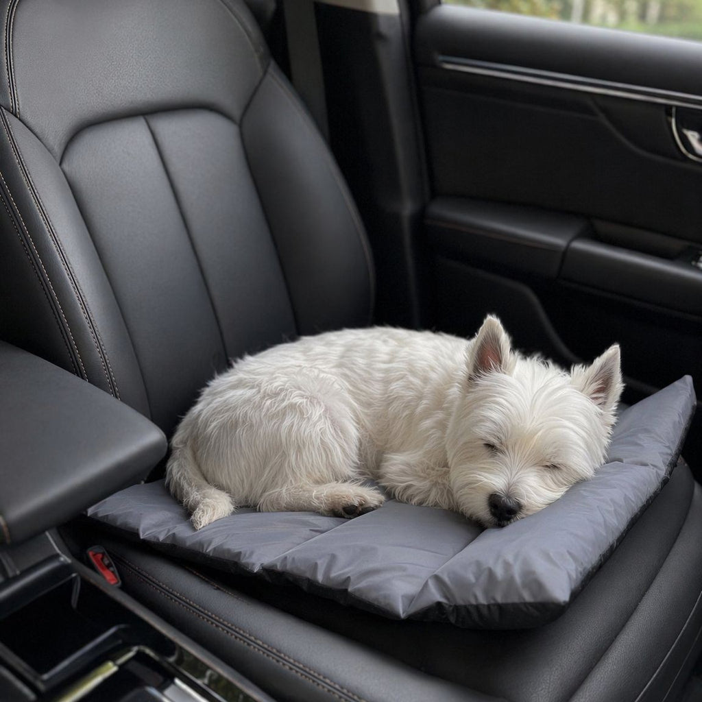 Chat et chien tapis de couchage modèle universel toute la saison