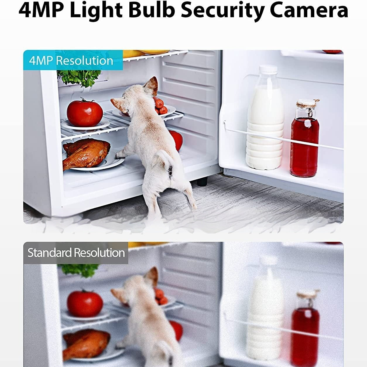 Caméra de surveillance Wi-Fi 2K4MP de style Graffiti E27 Interface