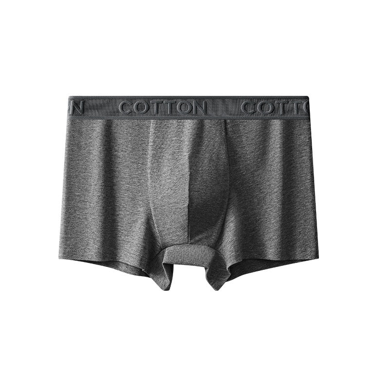 Boxer en coton antibactérien haut de gamme pour hommes