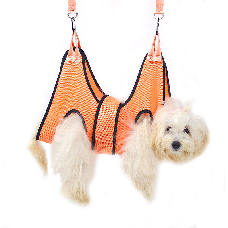 Outil pour chat et chiens
