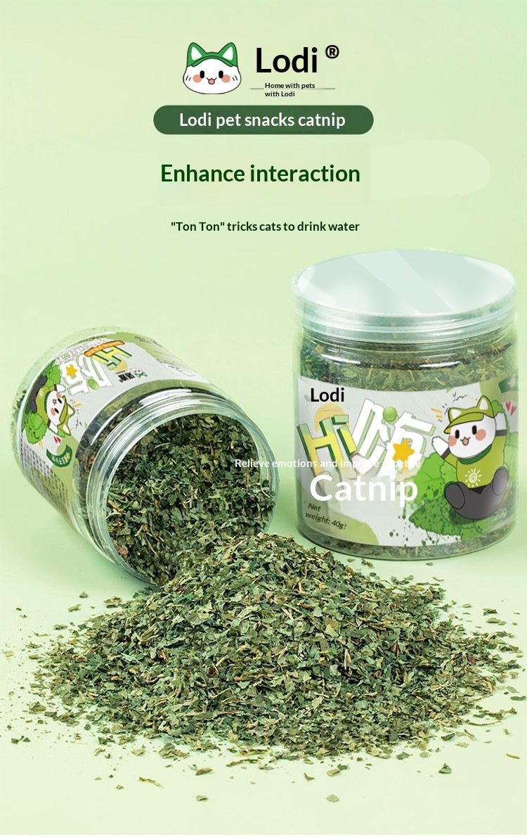 Chatnip Feuilles d'herbe de chat Traites de chat
