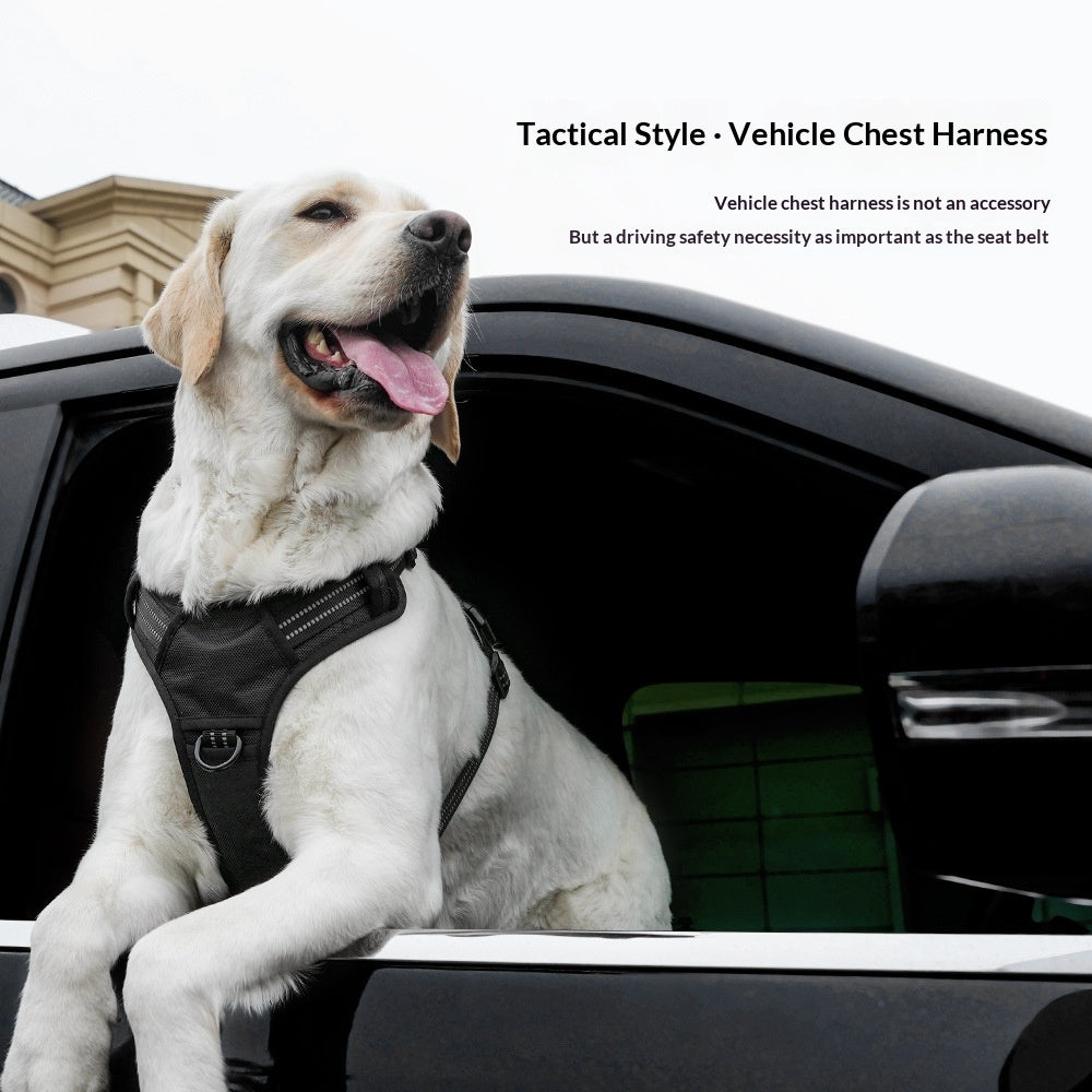 Harnais pour chien léger à double usage pour traction automobile