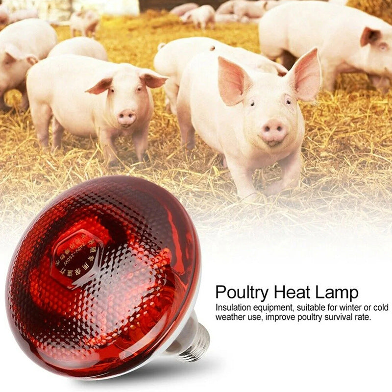 Lampe de chauffage infrarouge pour l'élevage