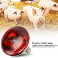 Lampe de chauffage infrarouge pour l'élevage