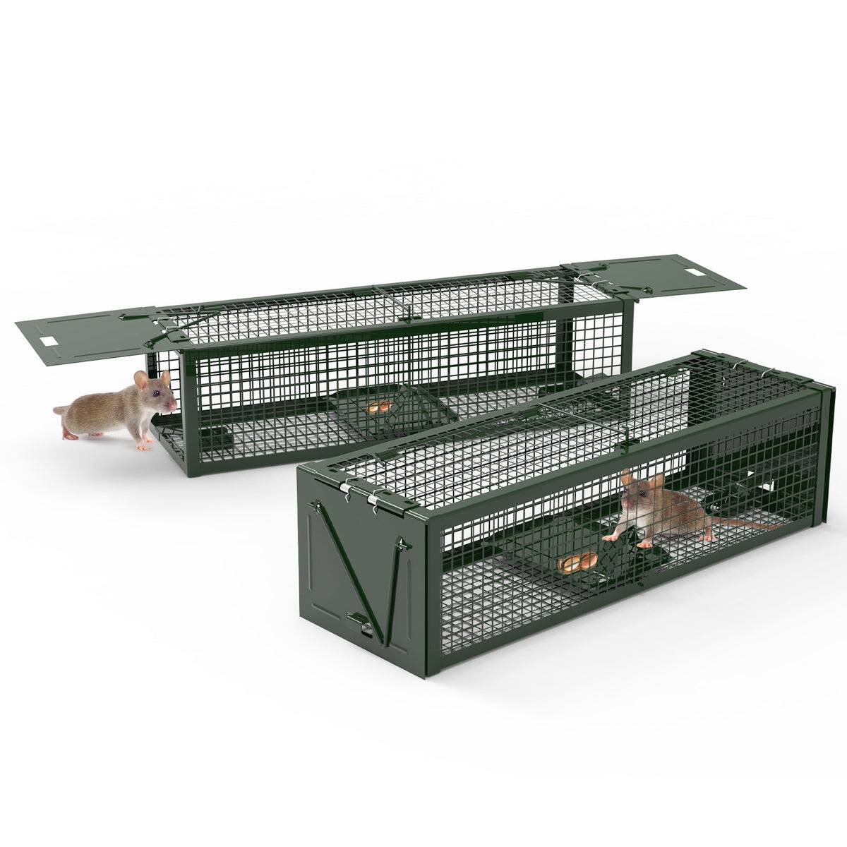 2Pack 15.35x4.72x3.94en 2-Door humain Rat Trap galvanisé en fer Rodent Cage Reusa