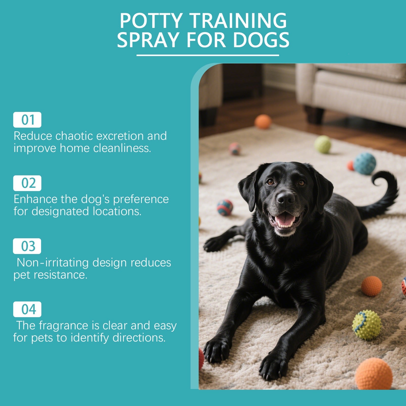 Vaporisateur d'entraînement pour chiens