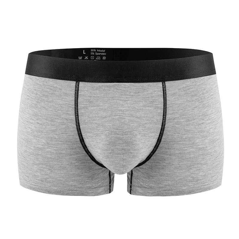 Standard Hommes Sous-vêtements sexy Modal Low-rise