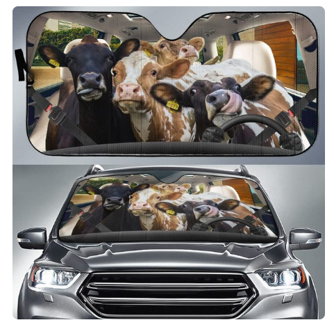 Voiture Sun Shield Arrêt avant écran solaire Chaleur Isolation Non-punching Rideau télescopique