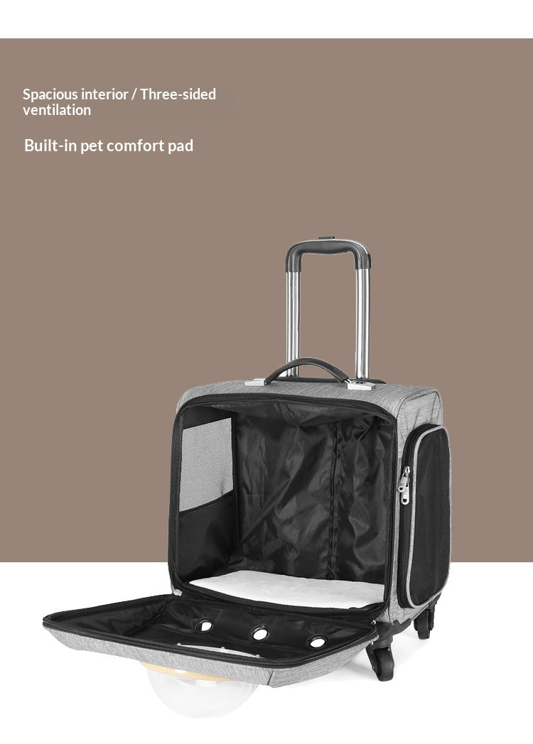 Transporteur universel pour animaux de compagnie