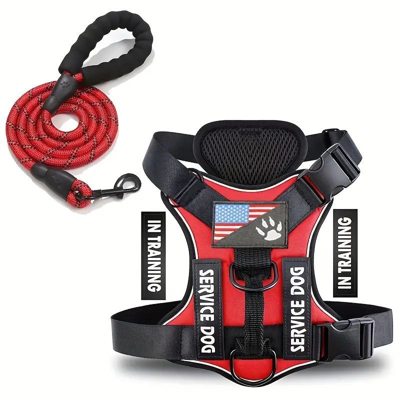 Chien d'animaux de compagnie Sangle mammaire Chien laisse Chien laisse