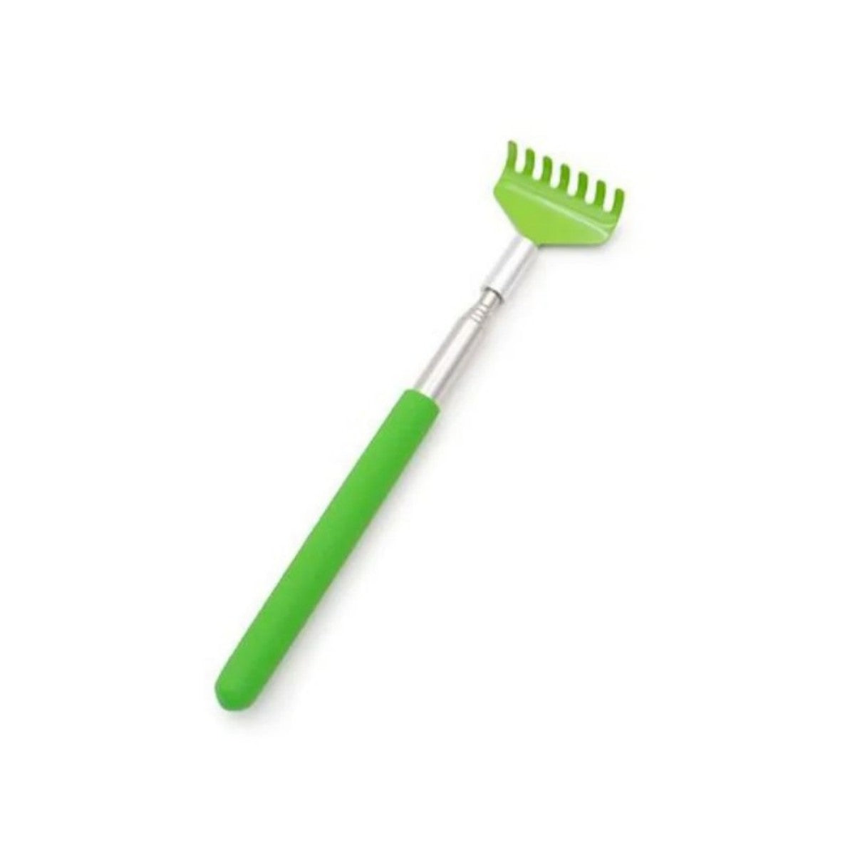Brosse de massage pour jouets interactifs pour chat