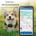 4G Precision Positioning Magnetic charge Waterproof Adjustable Cat And Dog GPS Tracker