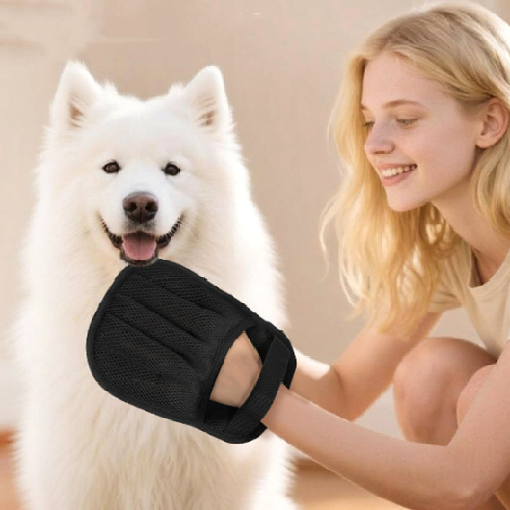 Ménage léger de nettoyage des cheveux pour animaux de compagnie