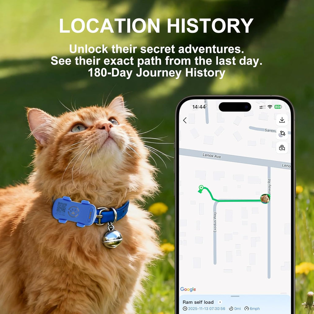 Dog GPS Tracker en temps réel