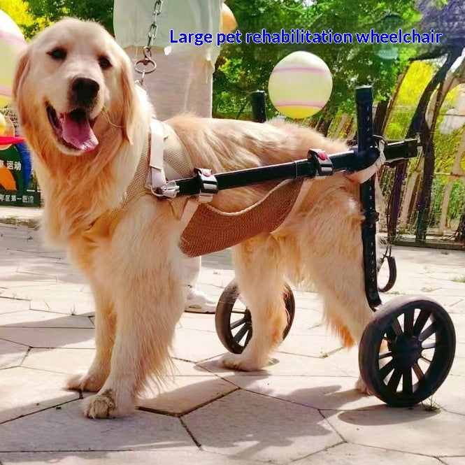 Aide à la mobilité en fauteuil roulant