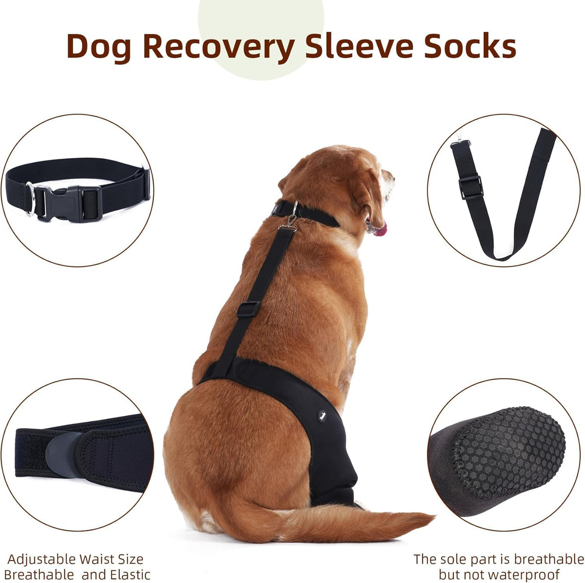 Chaussettes pour chiens pour empêcher les pattes de câlin