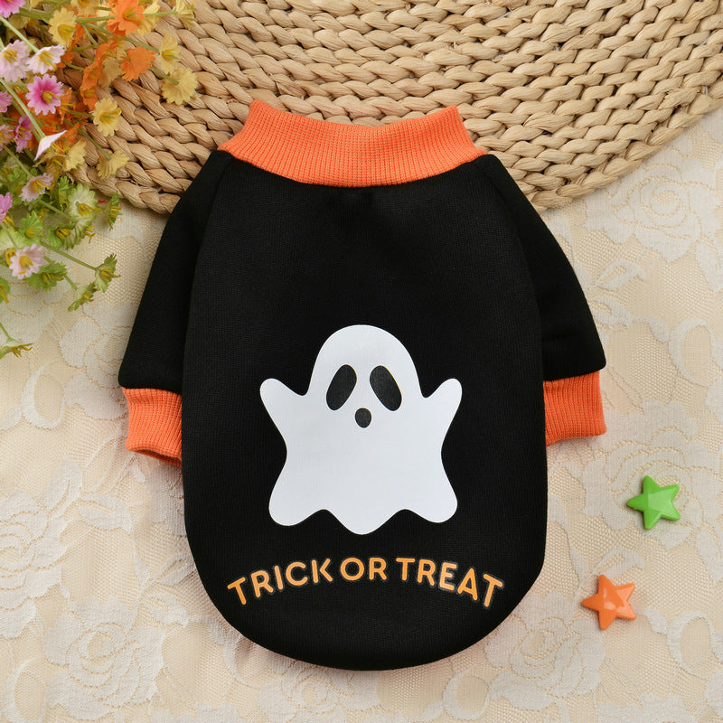 Halloween Pumpkin Crâne animal Teddy Petit chien Automne Chandail d'hiver